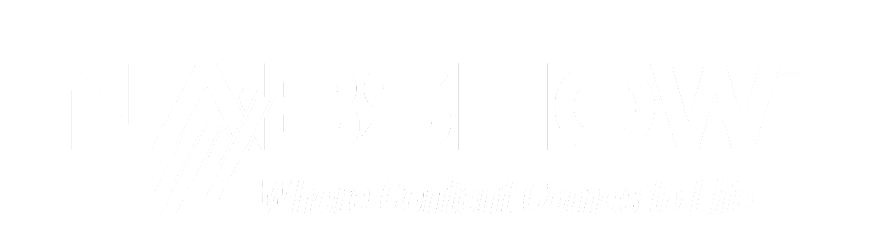 https://www.magnaquest.com/wp-content/uploads/2024/04/nab-logo-header.png