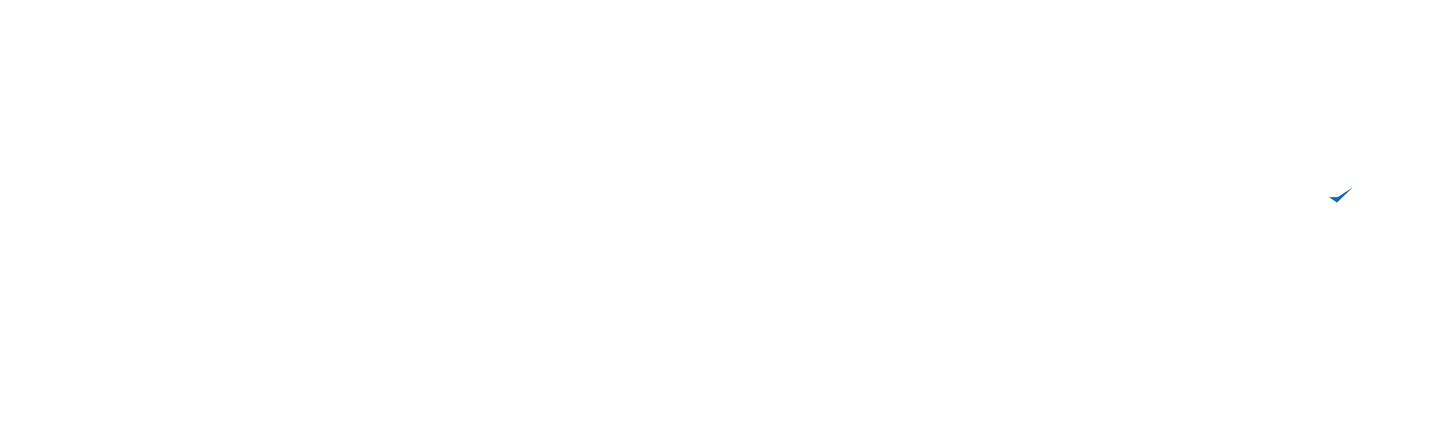 https://www.magnaquest.com/wp-content/uploads/2024/09/Magnaquest-Press-Release2.png
